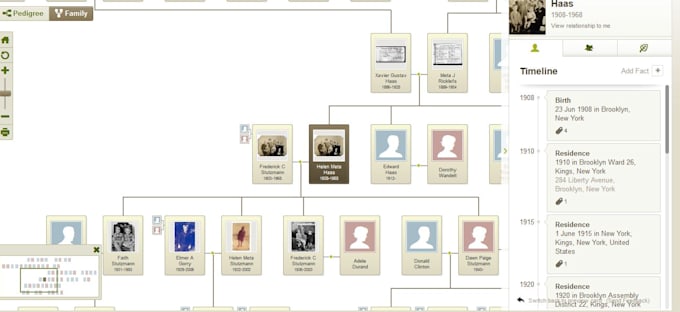 Set up an ancestry family tree for you by Marygenealogy