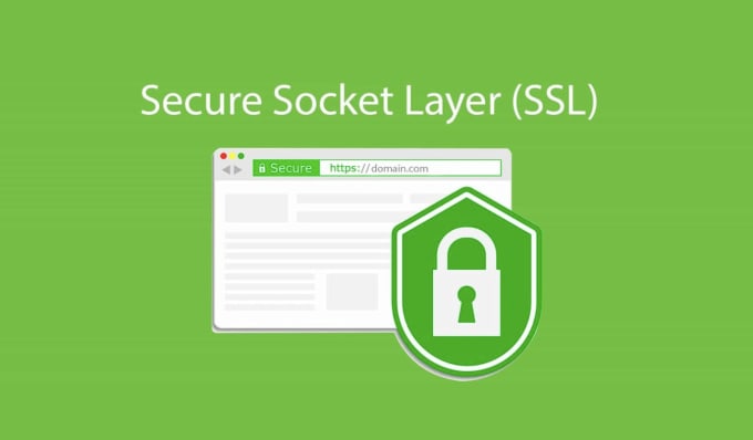 Gig Preview - Install ssl in your website