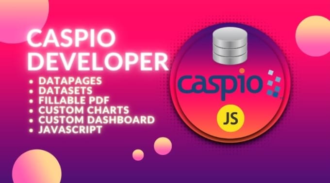 Gig Preview - Develop caspio application, caspio datapages, datasets