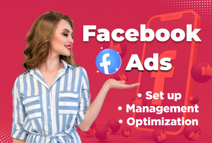 Gig Preview - Set up and manage your facebook and instagram ads campaign