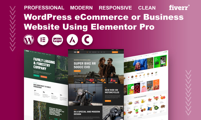 Gig Preview - Build or clone any type wordpress website using elementor pro