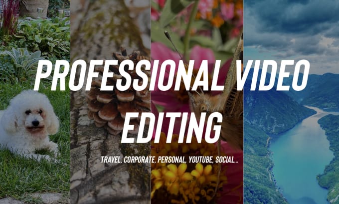 Gig Preview - Provide professional video editing within 24 hours