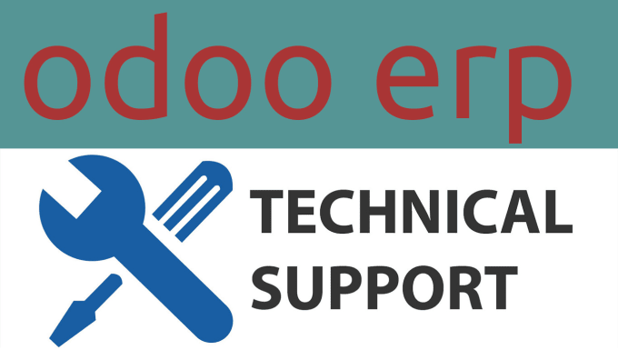 Gig Preview - Provide technical support for odoo erp