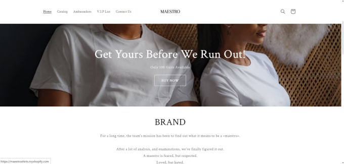 Gig Preview - Design a professional shopify store for your clothing brand