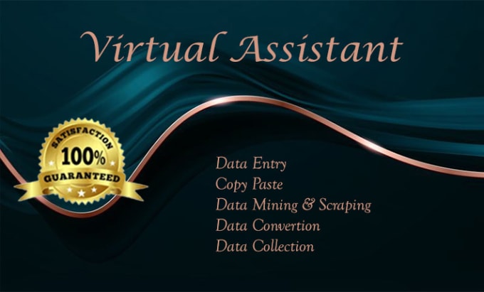 Gig Preview - Be your virtual assistant for data entry, data mining and retyping