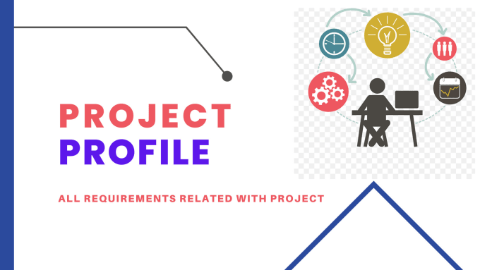 Gig Preview - Prepare project profile and do financial management function