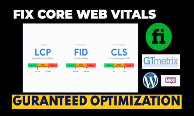 Gig Preview - Fix core web vitals of wordpress website, woocommerce store