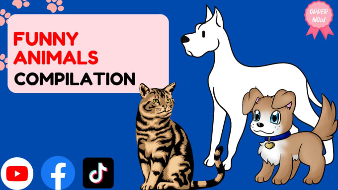 Gig Preview - Create monetizable funny animals videos, pets compilation within 24hr