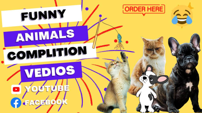 Gig Preview - Create monetizable funny animal videos and shorts for youtube