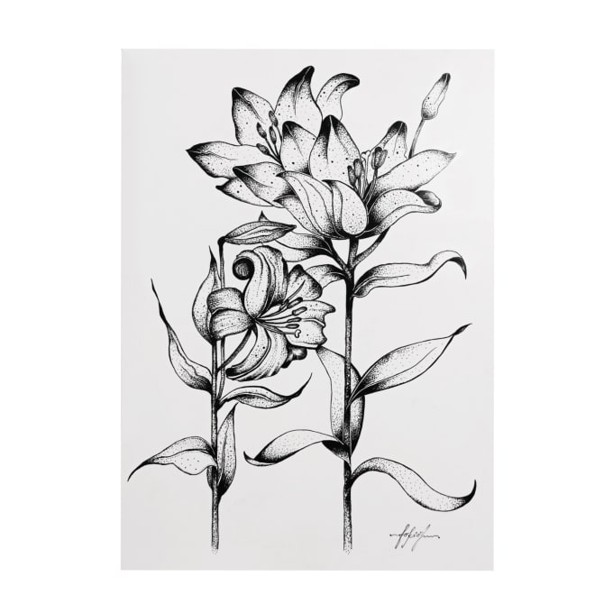 Gig Preview - Create a black and white floral or animal illustration in ink for you