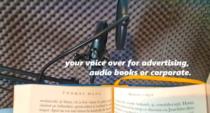 Gig Preview - Do a awesome romanian voice for your audio book, story or presentation