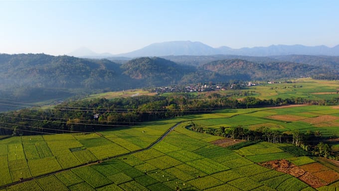 Gig Preview - Shoot drone videos of rural and plantation views