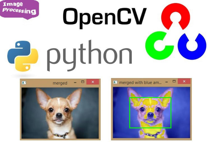 Gig Preview - Provide face attributes using opencv computer vision expert