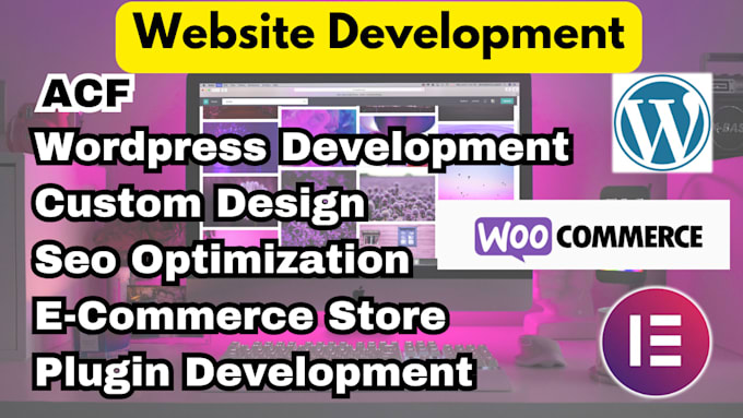 Gig Preview - Do professional wordpress website development, customization, SEO