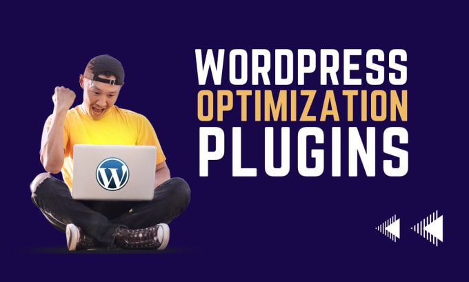 Gig Preview - Develop customize wordpress plugin