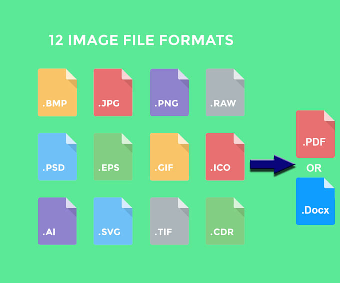 Gig Preview - Do data entry for your word document