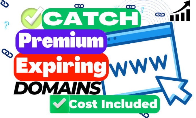 Gig Preview - Help you backorder and catch expired domain names