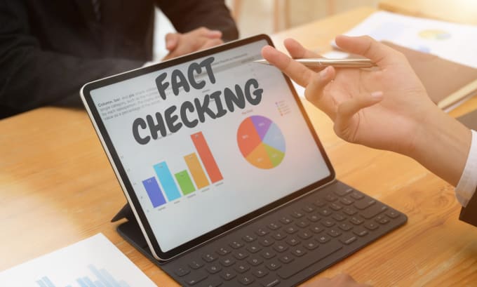 Gig Preview - Fact check your document professionally