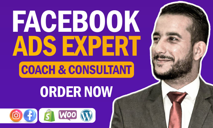 Gig Preview - Your expert 1 on 1 facebook ads coach