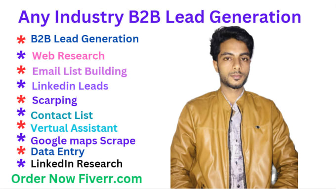 Gig Preview - Do targeted email list building, b2b lead generation, data entry, web research