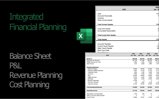 Gig Preview - Do a financial model or financial planning for your business