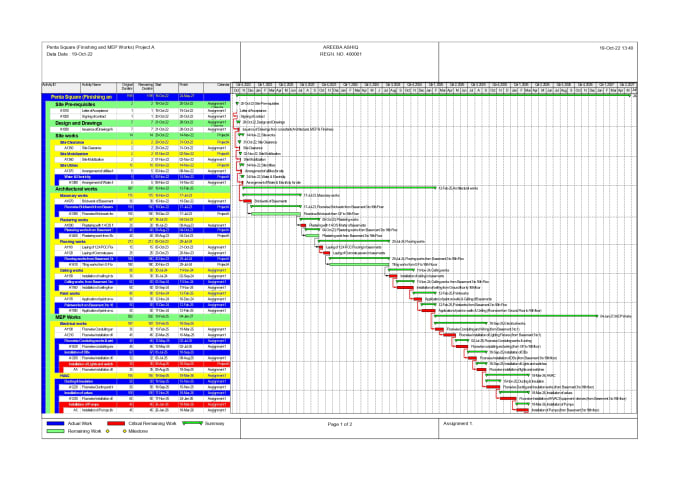 Gig Preview - Make schedules of construction projects on p6 primavera