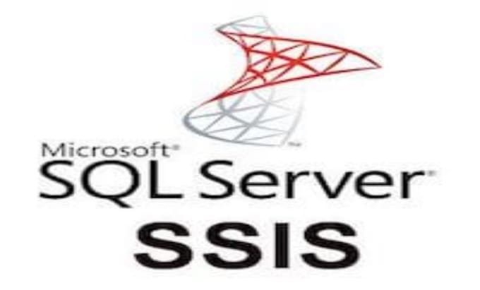 Gig Preview - Develop your  ssis etl process