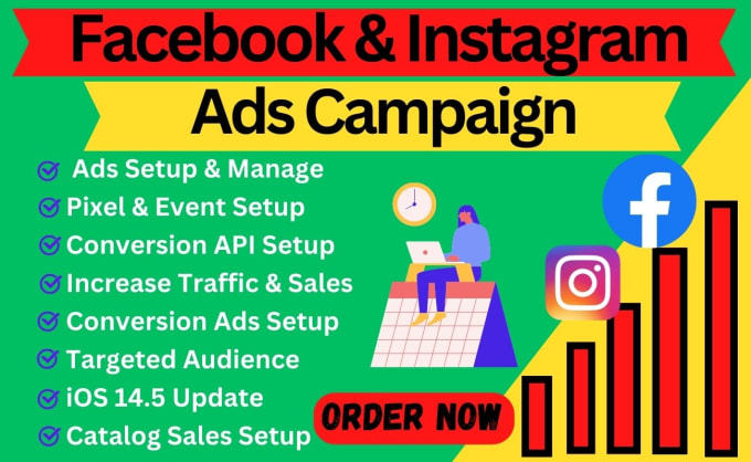 Gig Preview - Setup facebook ads campaign in ads manager