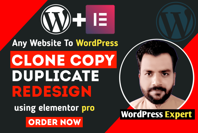 Gig Preview - Copy clone and duplicate any wordpress website in 24 hour