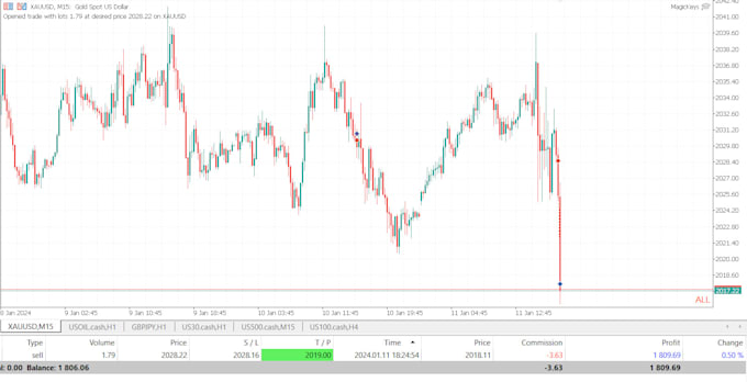 Gig Preview - Teach you forex trading or metals or day trading 1hr lesson