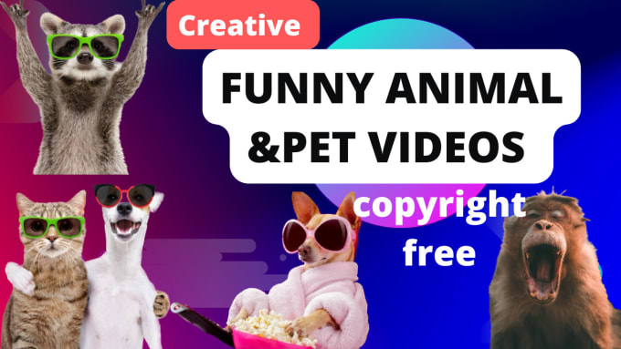 Gig Preview - Create animal,pet, compilation videos for youtube,tiktok