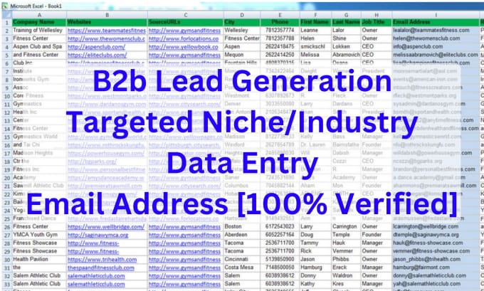 Gig Preview - Do b2b lead generation for any business and targeted lead