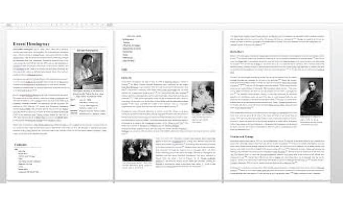 Gig Preview - Format your book for both print and ebook versions