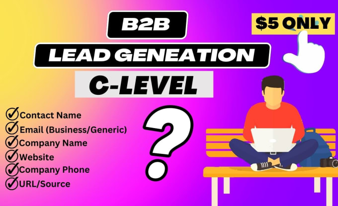 Gig Preview - Do b2b lead generation and email list building of c level executives