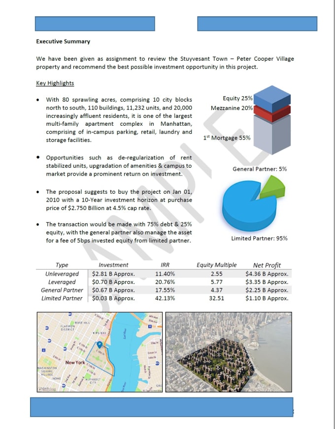 Gig Preview - Develop your investment memorandum