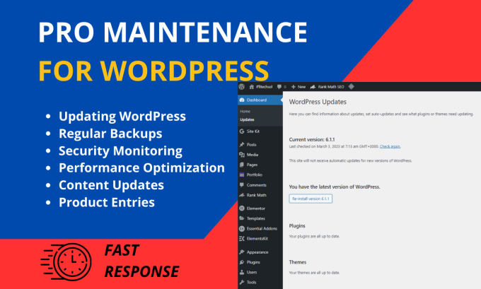 Gig Preview - Do wordpress website maintenance and wordpress support or help