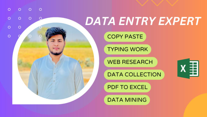 Gig Preview - Do expert data entry work