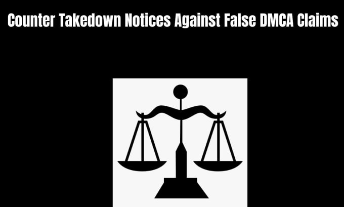 Gig Preview - Send counter takedown notices against false dmca claims