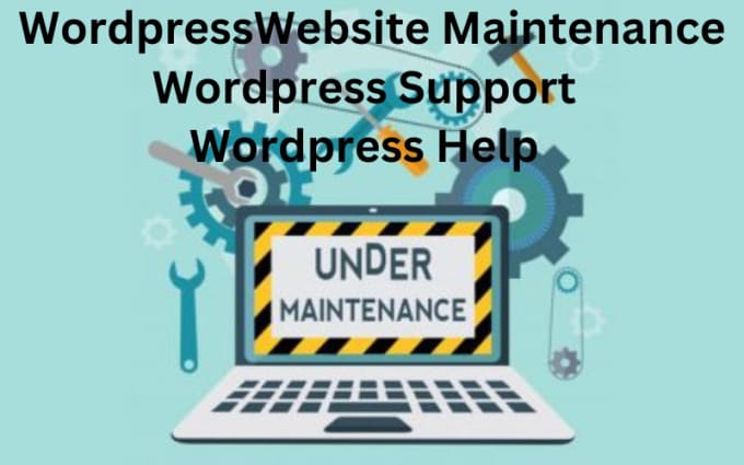 Gig Preview - Get professional wordpress help and support for your website maintenance needs