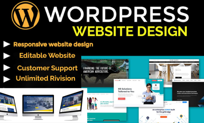 Gig Preview - Design, redesign professional wordpress website or blog