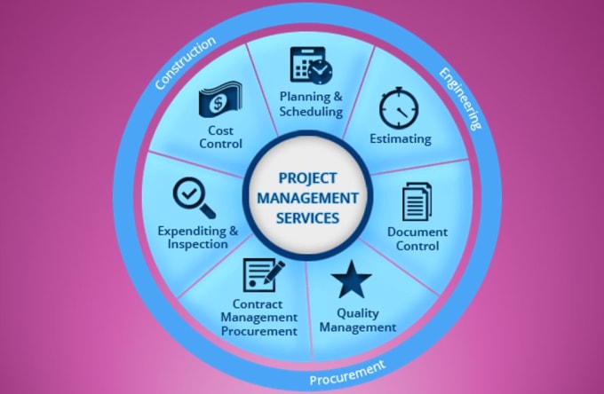 Gig Preview - Be project manager, s curve, report writing, dashboard, gantt charts