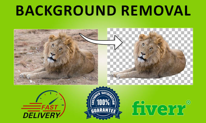 Gig Preview - Enhance your images bulk background removal, crop and resize