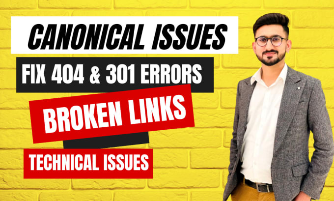 Gig Preview - Fix 404, 301, broken links, indexing and canonical issues