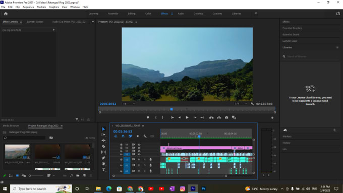 Gig Preview - Professional short video editor