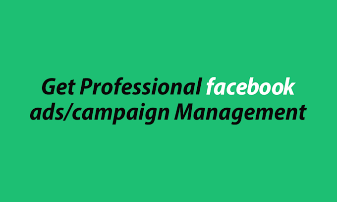 Gig Preview - Do professional facebook ads campaign management