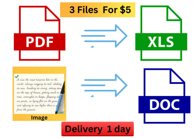 Gig Preview - Convert PDF to word and excel and extract text from images