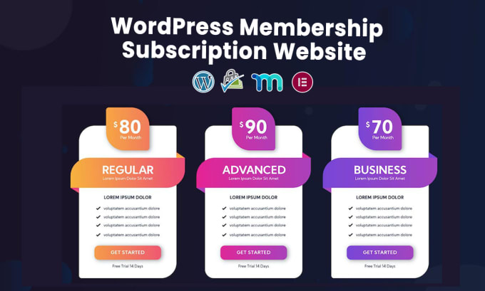 Gig Preview - Create membership and subscription website using wordpress