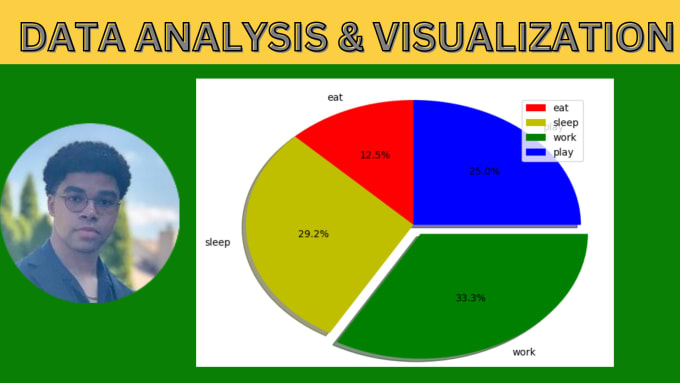 Gig Preview - Analyze data and do data visualization using rstudio and python, I write report