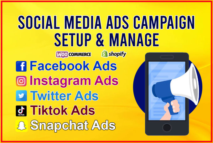 Gig Preview - Setup and manage your social media ads campaign