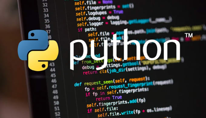 Gig Preview - Develop a python project